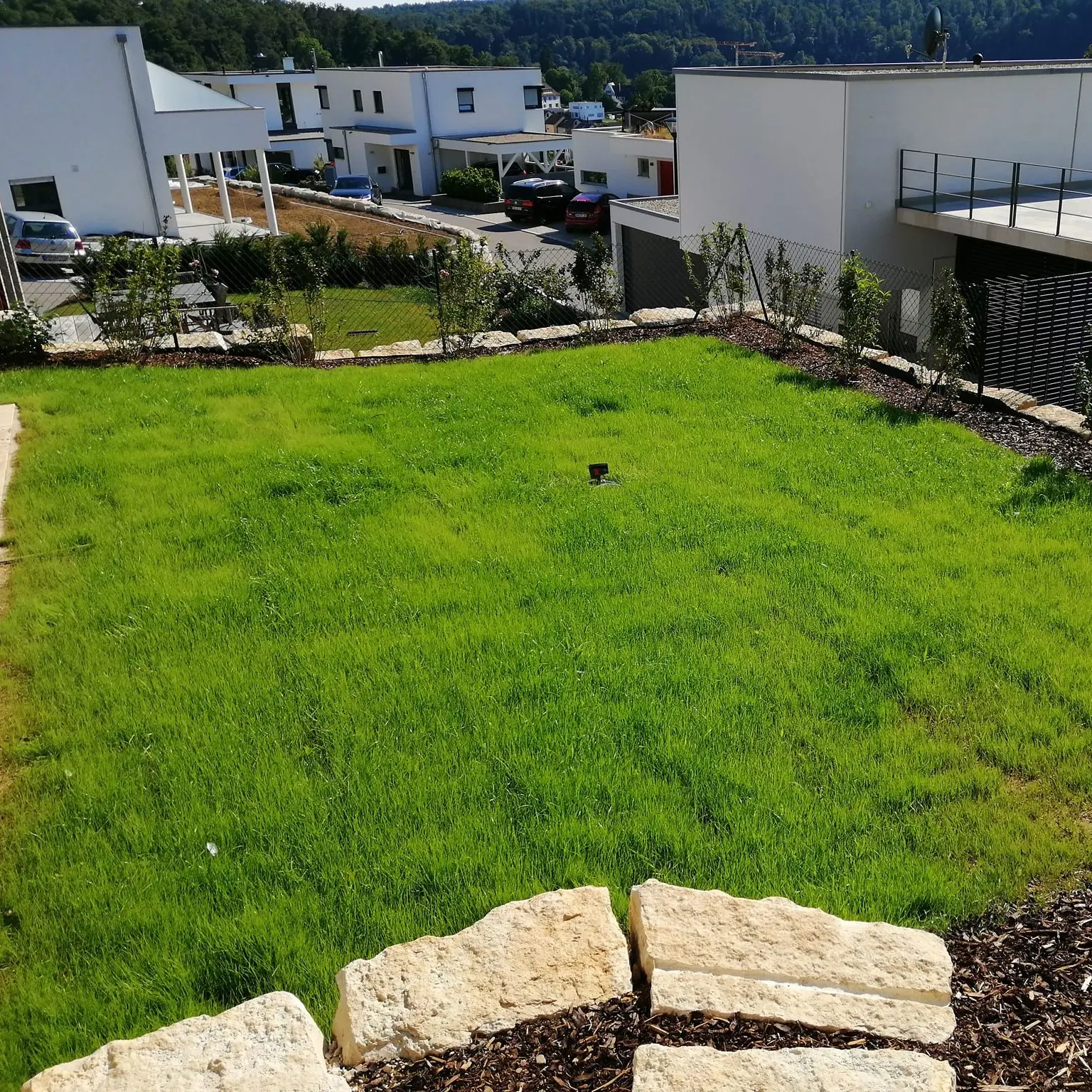 Ein kleiner, quadratischer Rasen, umgeben von Steinrändern, mit modernen weißen Häusern und einer Straße im Hintergrund. Entlang der Rasenkante sind einige Sträucher gepflanzt und in der Ferne sind Bäume zu sehen.