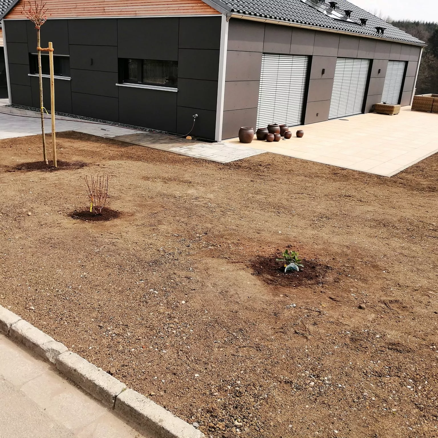 Ein modernes Haus mit grauer Fassade und großen Fenstern ist von einem kargen Hof umgeben. Zwei kleine Pflanzen sind in die trockene Erde eingebettet, und auf der Terrasse steht eine Reihe von Töpfen. Am Rand des Hofs steht ein einzelner Baum.